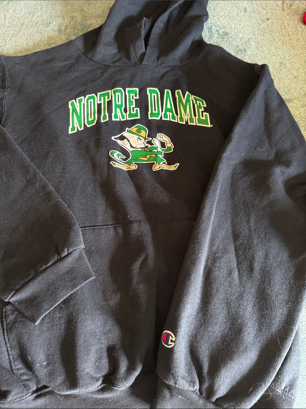 Champion navy Notre Dame Hoodie with Green & Gold Mascot
